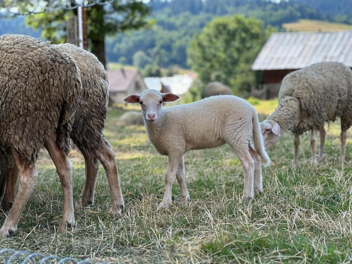 Penzion Hrubjak Oravská Polhora Eksteriør bilde